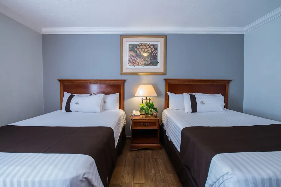 Del Marqués Hotel and Suites hotel detail image 6