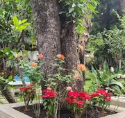 Casa Limon hotel detail image 5
