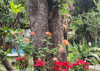 Casa Limon hotel thumbnail 5