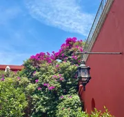 Hotel Casa Carmen hotel detail image 4