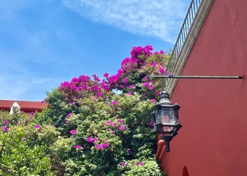 Hotel Casa Carmen hotel thumbnail 4