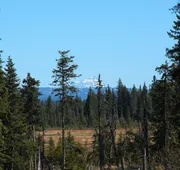 Bear Paw Adventure hotel detail image 4