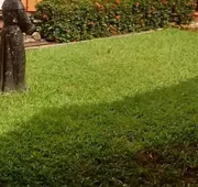Madero Suites hotel detail image 3