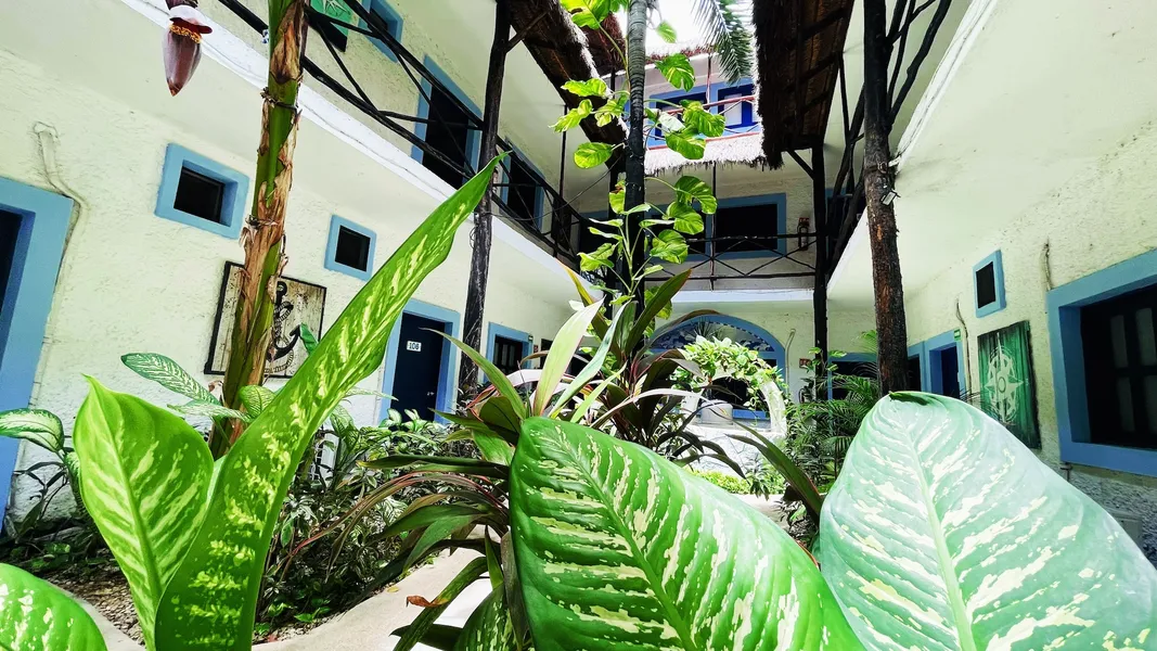 Luna Maya by LHMG hotel detail image 6