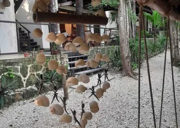 Hotel Buenavista Bacalar Jungle Experience hotel thumbnail 6