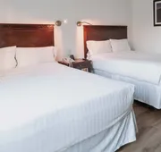 HS HOTSSON Smart Value Tampico hotel detail image 7