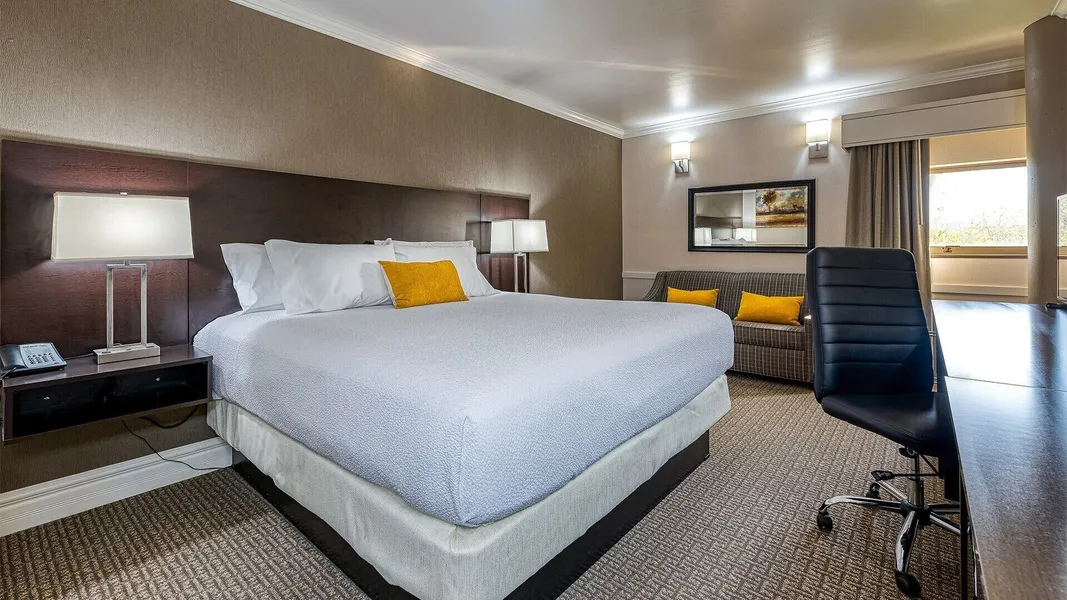 University Inn hotel detail image 6