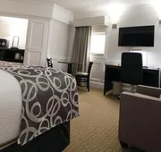 University Inn hotel detail image 7