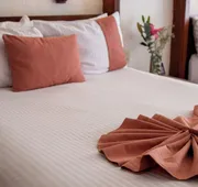 Hotel Misión Guanajuato hotel detail image 7