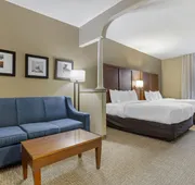 Comfort Suites Houston NW - Vintage Park hotel detail image 3