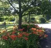 The Villages of Mountain Gap Resort hotel detail image 4