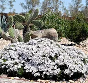 Hacienda Los Picachos hotel detail image 7