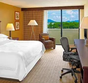 Blue Ridge Hotel and Conference Center hotel detail image 4