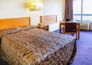Springwood Hotel hotel thumbnail 8