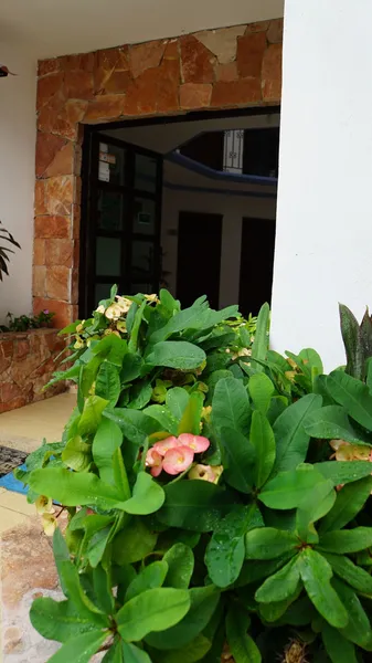 Hotel Alux Playa del Carmen hotel detail image 6