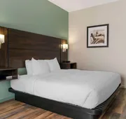 Best Western Clare Hotel hotel detail image 7