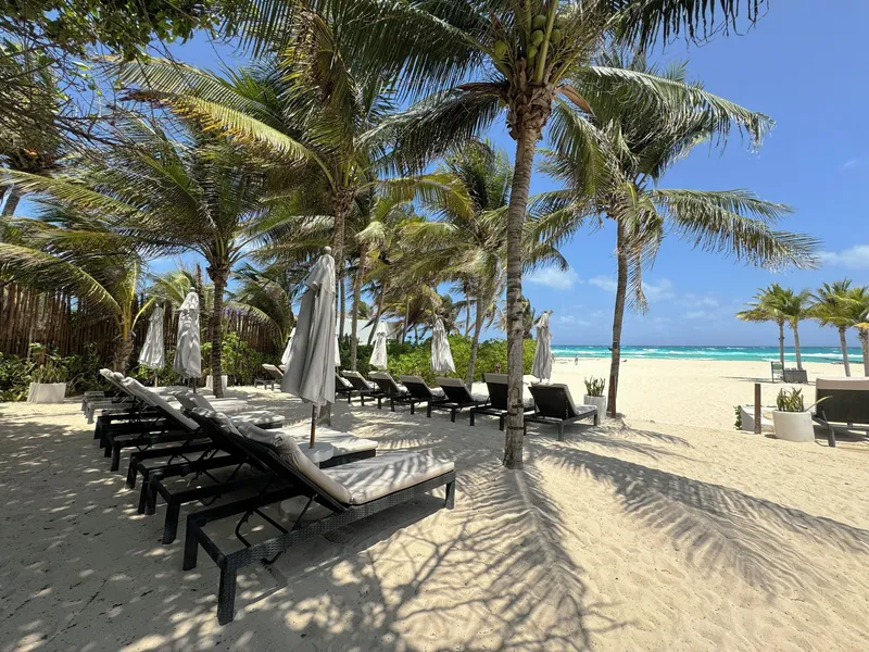 The Reef Playacar Beach Resort & Spa hotel detail image 2