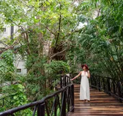 The Reef Playacar Beach Resort & Spa hotel detail image 7