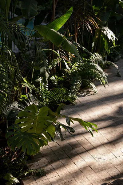 Kunuk Hotel Boutique hotel detail image 6