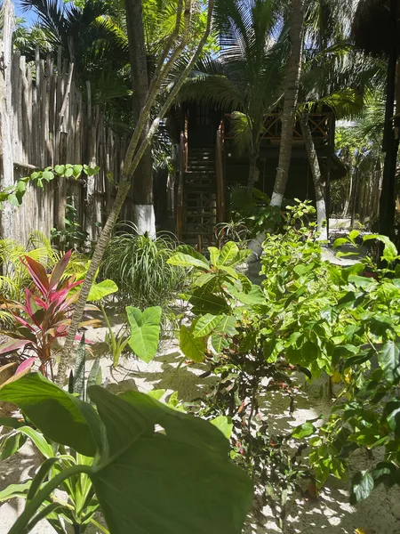 Sivana Tulum hotel detail image 6