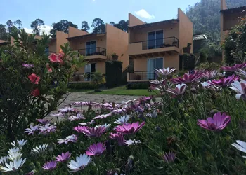 Hotel 7 Cabañas hotel thumbnail 4