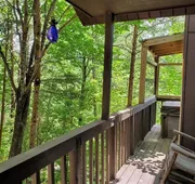 Hillbilly Hilton 2 Bedroom Chalet hotel detail image 5