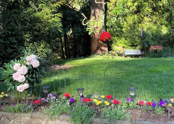 Misty Meadows B&B hotel thumbnail 2