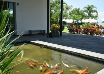 La Reserva Chapala Resort hotel thumbnail 8