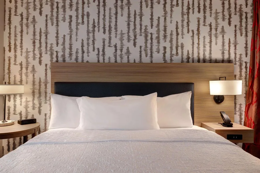 Home2 Suites by Hilton Blythewood, SC hotel detail image 6