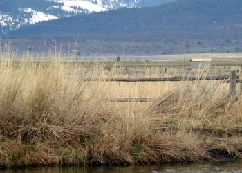 Hunters Hot Springs Resort hotel thumbnail 2