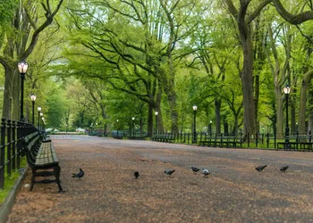 Nap York Central Park Sleep Station hotel thumbnail 6