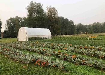 Bodhi Farms hotel thumbnail 3