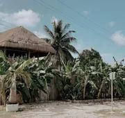 Hotel Xa'an Bacalar hotel detail image 3