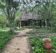 Hacienda Maria Elena Yucatán hotel detail image 4