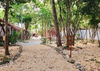 Kin Tulum Jungle Deluxe hotel thumbnail 7