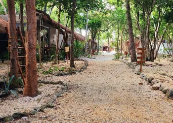 Kin Tulum Jungle Deluxe hotel thumbnail 8