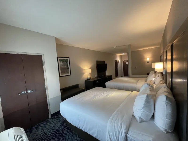 Comfort Inn & Suites Balch Springs - SE Dallas hotel detail image 6