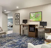 Homewood Suites By Hilton Mcdonough hotel detail image 7