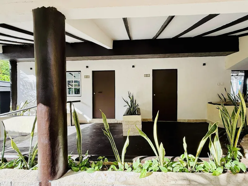 Original Maya Bric hotel detail image 6