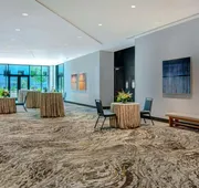 Embassy Suites By Hilton Alpharetta Halcyon hotel detail image 5