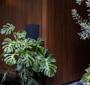 Casa Hedera México hotel detail image 4