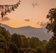 Mount Mitchell Eco Retreat hotel detail image 5