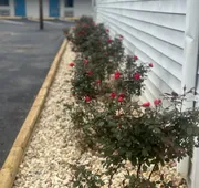 Green Garden Inn hotel detail image 5