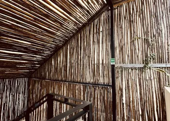 Kuukum Tulum Hotel hotel thumbnail 6