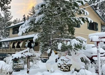 The Old Bear BnB hotel thumbnail 2