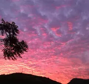 Los Alcatraces hotel detail image 3