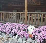 Snyder's Knob Bed and Breakfast hotel detail image 3