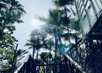 Pal Mar Glamtainer Tulum hotel thumbnail 8
