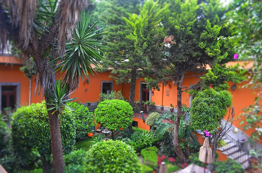 Hacienda Gobernadores – Boutique Stay in a Historic 19th-Century Hacienda hotel detail image 2