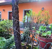 Hacienda Gobernadores – Boutique Stay in a Historic 19th-Century Hacienda hotel detail image 3
